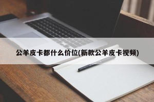 公羊皮卡都什么价位(新款公羊皮卡视频)