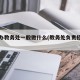 招生办教务处一般做什么(教务处负责招生吗)